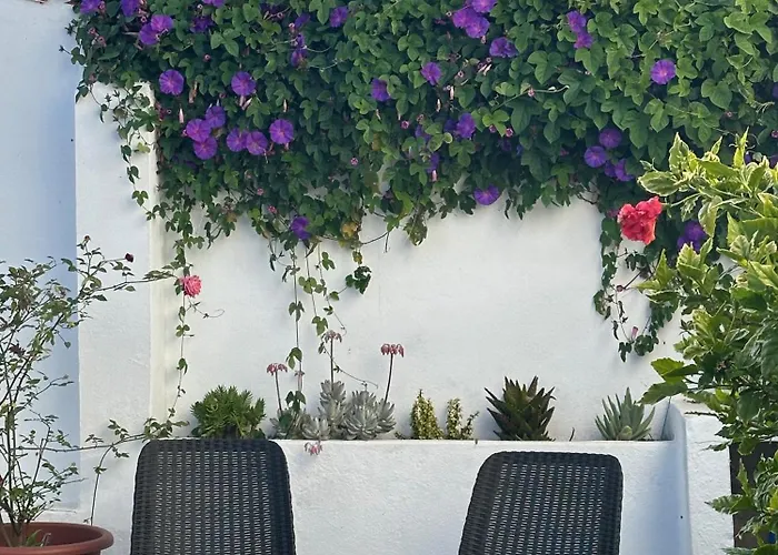 Rose's Foz Semesterbostad Foz do Arelho